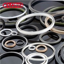 Hoge druk Teflon Petroleum klepafdichtingen