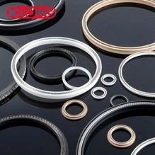 PTFE-lipafdichtingen voor roterende as
