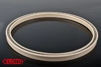 Spring Energized PTFE Rod Seal