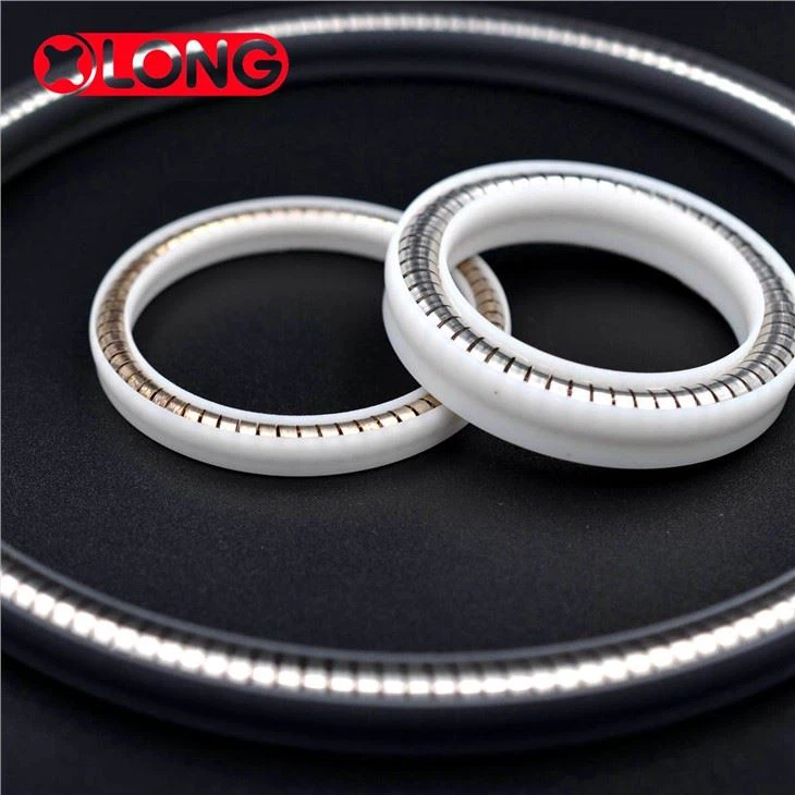 Stalen veerbekrachtigde PTFE-teflonzuigerafdichting