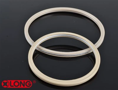 Teflon Spring Energized Face Seal